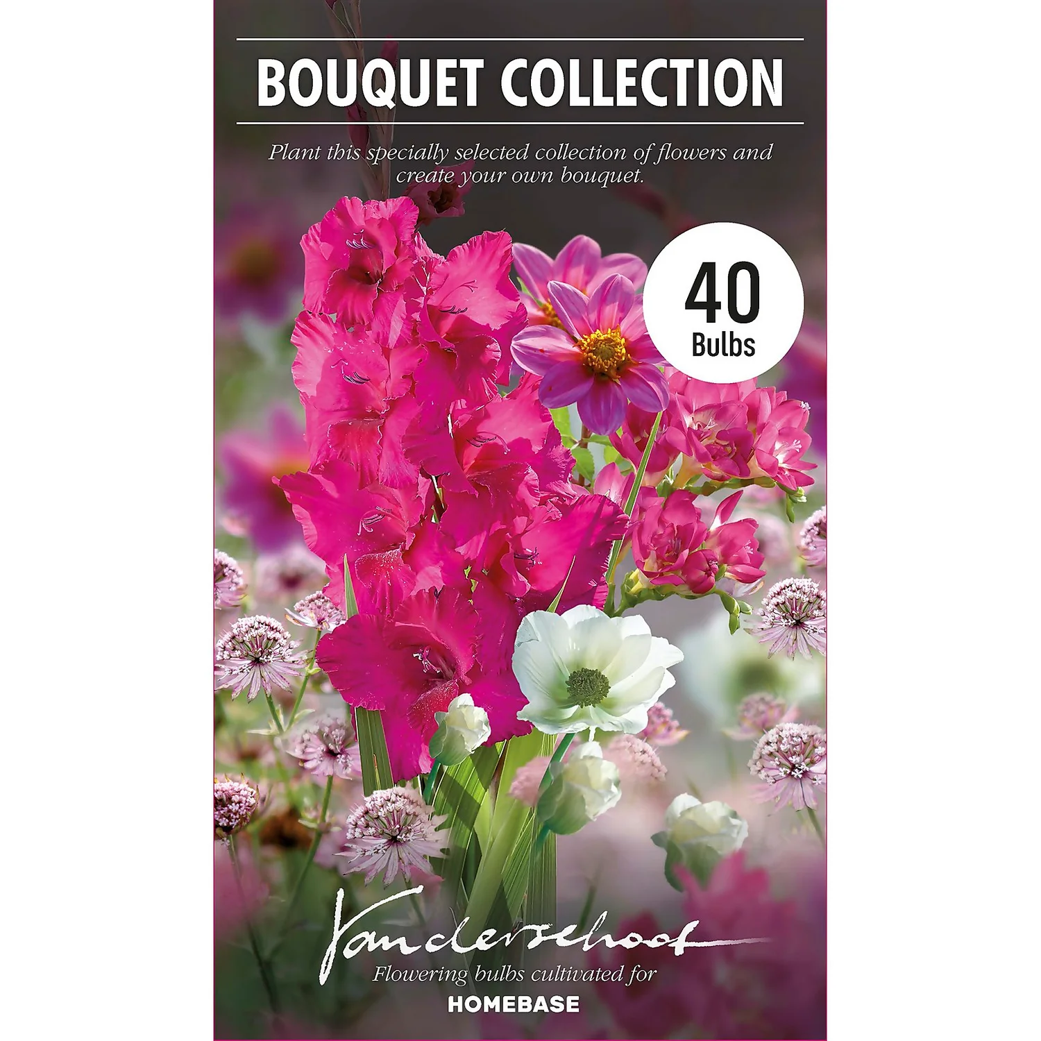 Collection Pretty Posy 4 Collection Pretty Posy - Image 2