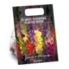 Gladiolus Bright Mixed -Elise Bloom 14194651 2865015428864833