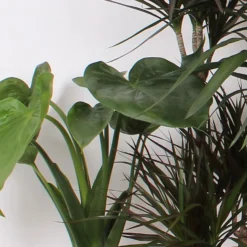 Foliage Mix 21cm 7 Foliage Mix 21cm -Elise Bloom 14195502 1945014369780770