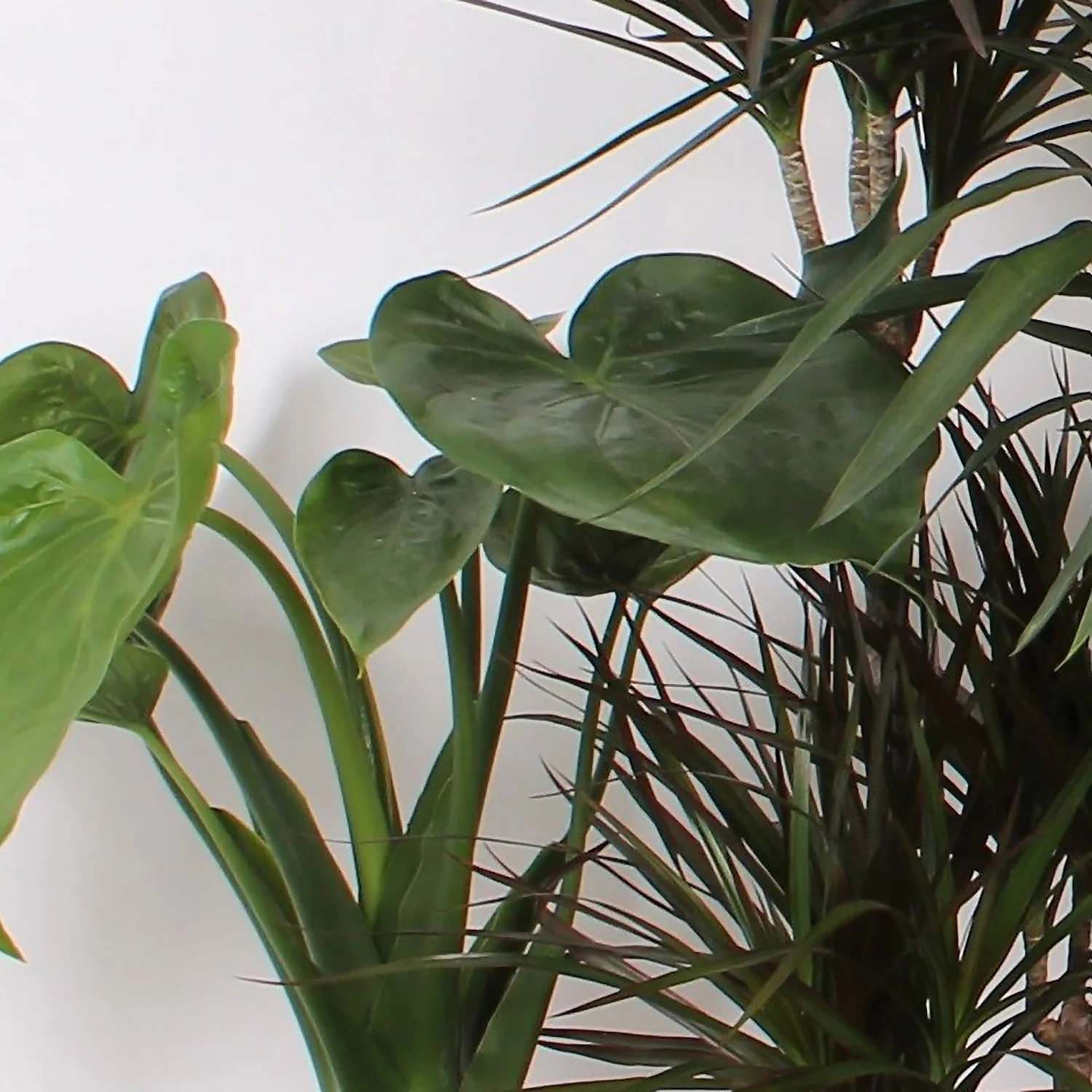 Foliage Mix 21cm 4 Foliage Mix 21cm - Image 2