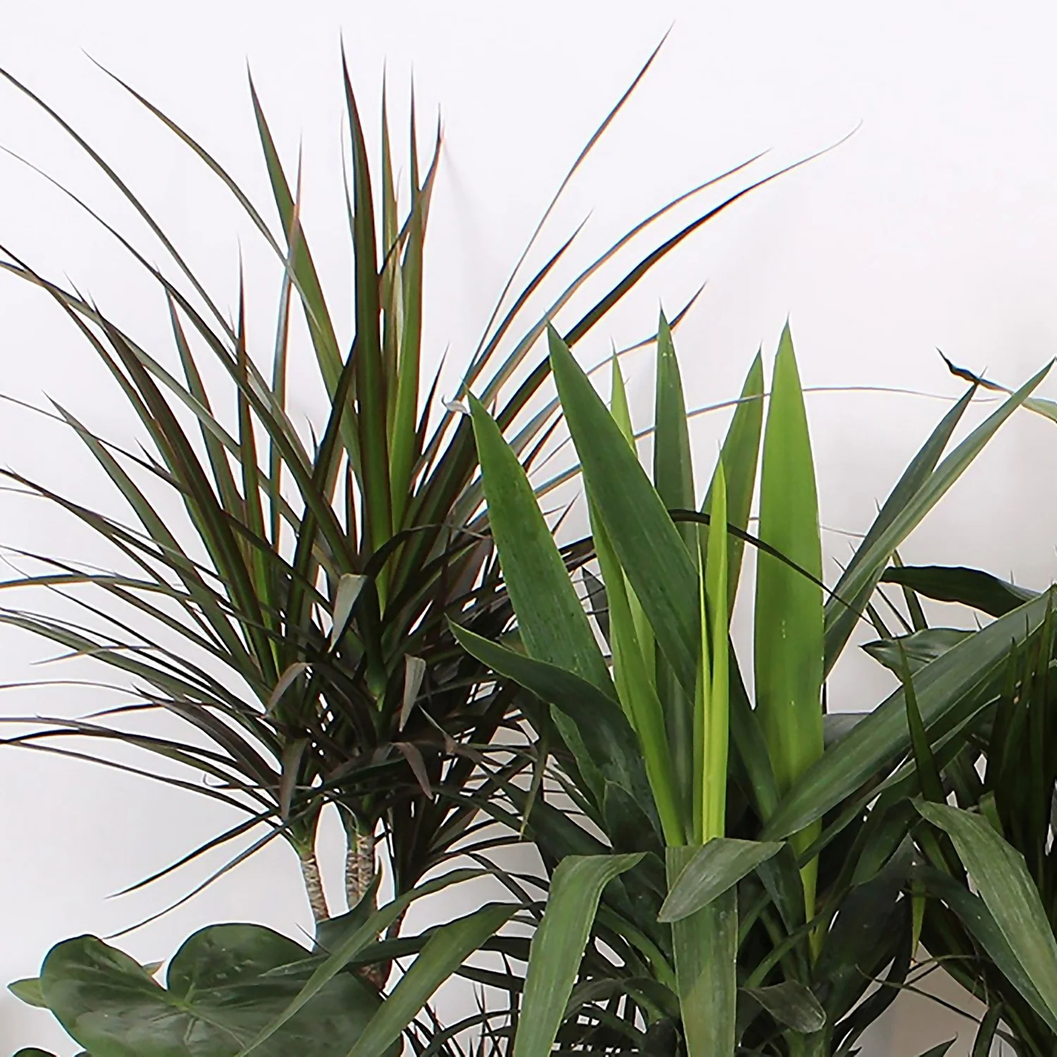 Foliage Mix 21cm 5 Foliage Mix 21cm - Image 3