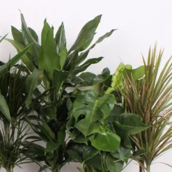 Foliage Mix 21cm 9 Foliage Mix 21cm -Elise Bloom 14195502 2475014369885221