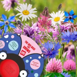 The Red Nose That Grows - The Butterfly 8 The Red Nose That Grows - The Butterfly -Elise Bloom 14266473 1025028117681030