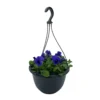 Spring Pansy/Viola Coloured Hang Pot 25cm 2 Spring Pansy/Viola Coloured Hang Pot 25cm -Elise Bloom 14300056 1085047259057622
