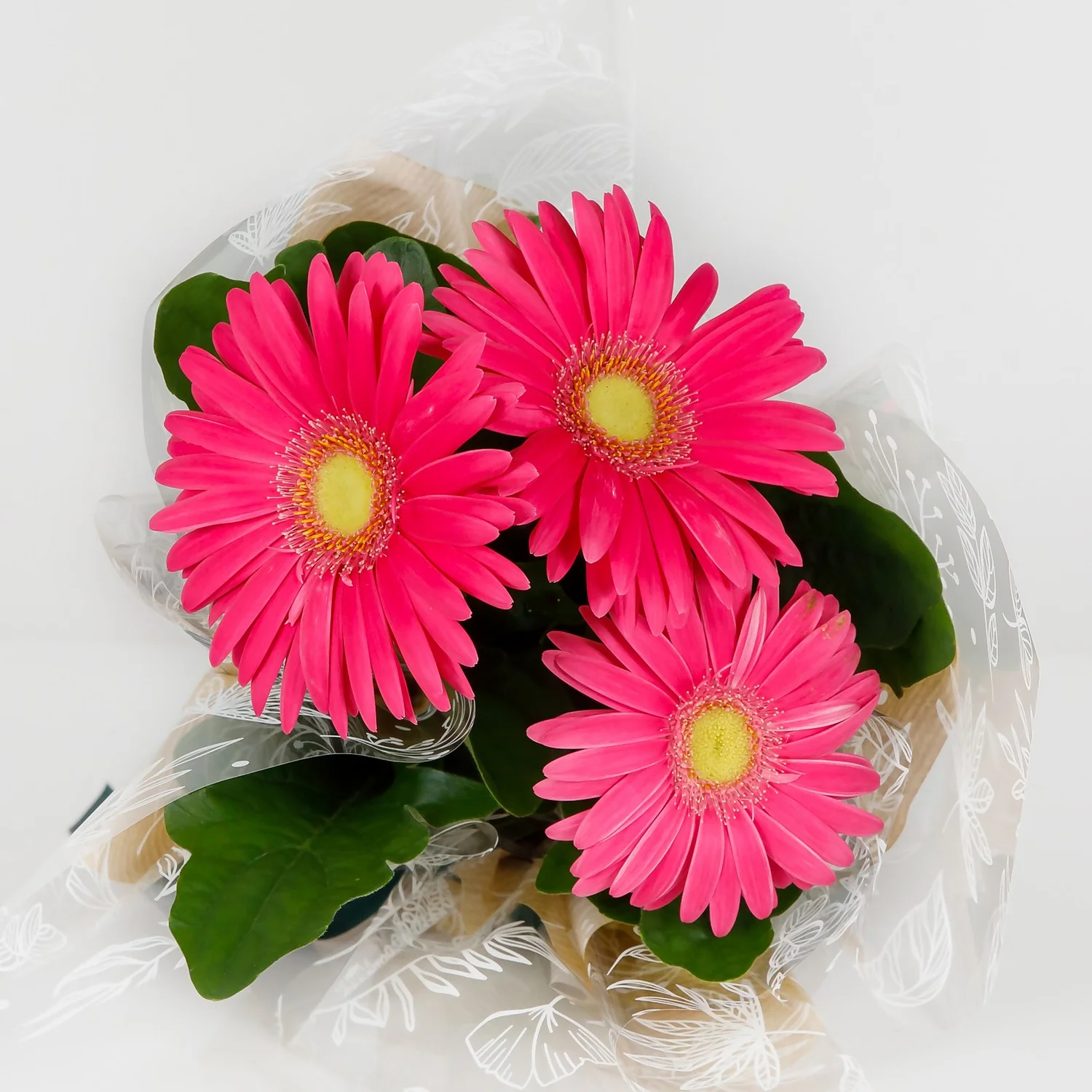 Gift Wrapped Gerbera - 12cm 7 Gift Wrapped Gerbera - 12cm - Image 5