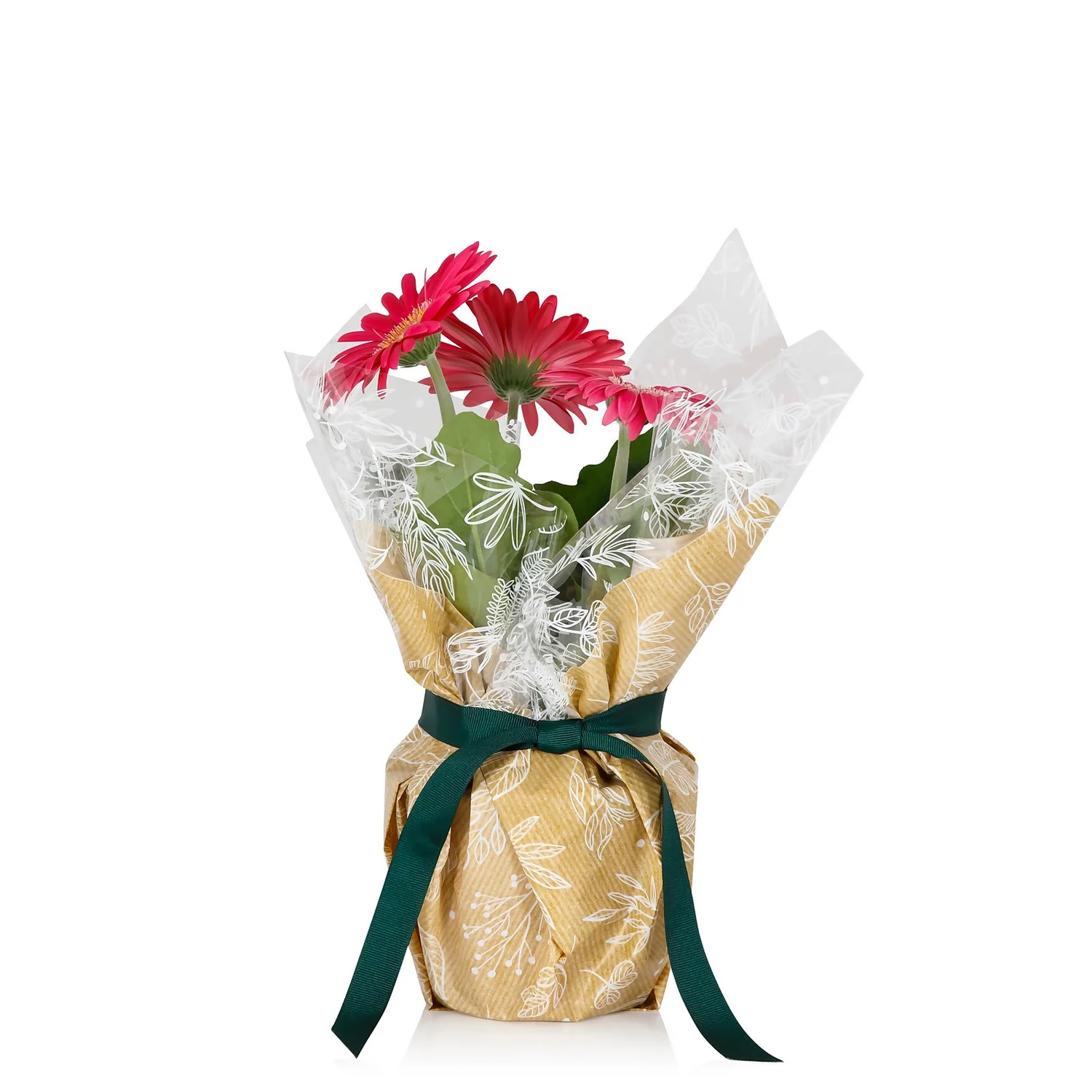 Gift Wrapped Gerbera - 12cm 3 Gift Wrapped Gerbera - 12cm