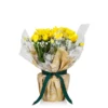 Gift Wrapped Chrysanthemum - 12cm -Elise Bloom 14567809 1625056339381896