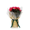 Gift Wrapped Begonia - 12cm -Elise Bloom 14703956 1525056339382316